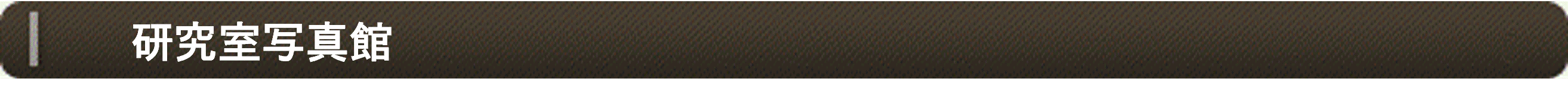 ʐ^