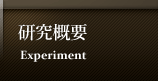 研究概要